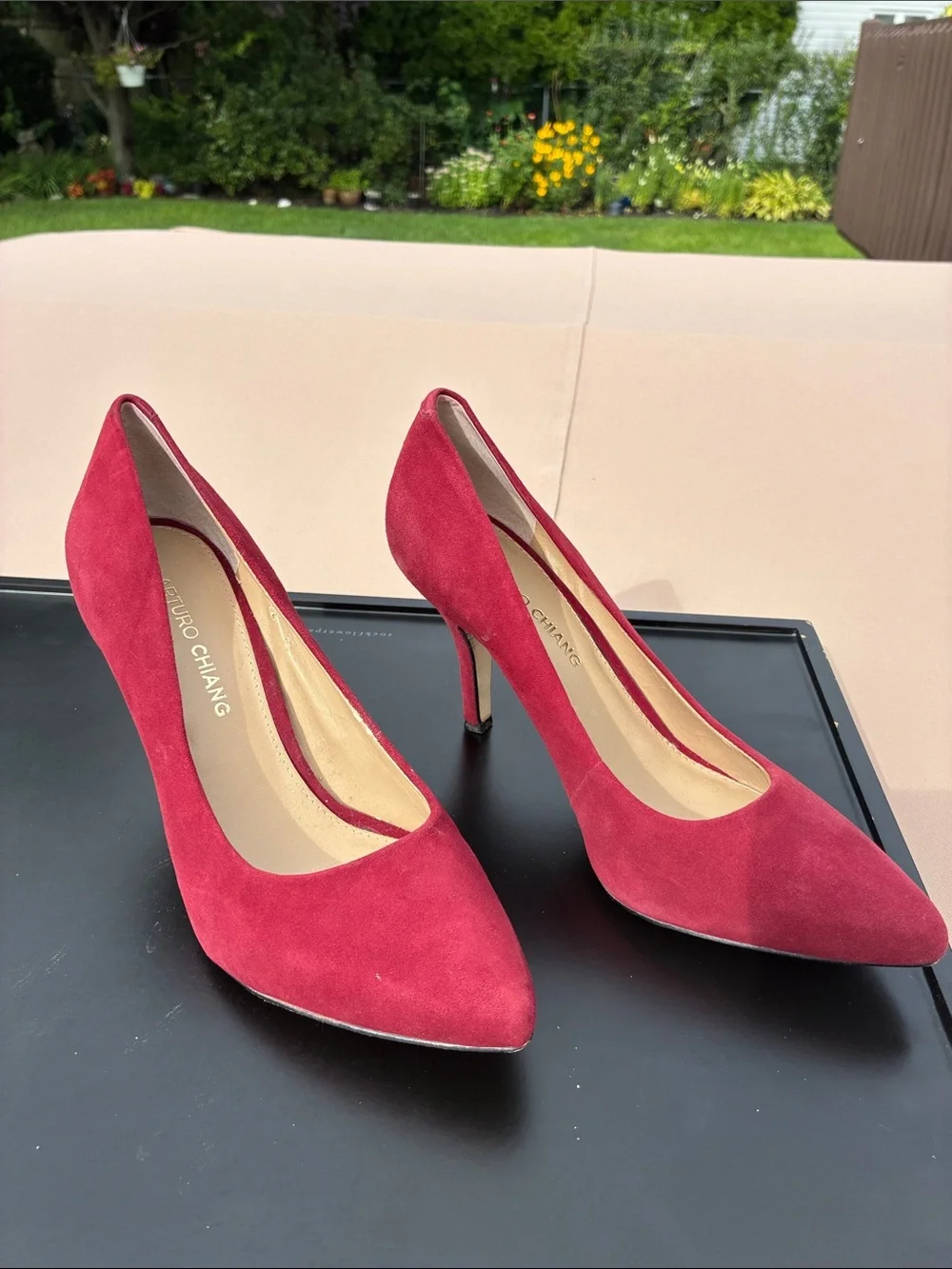 Arturo Chiang Burgundy Suede Pointed Toe Stiletto Pumps